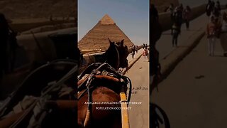 🇪🇬Transport in Egypt/النقل في مصر
