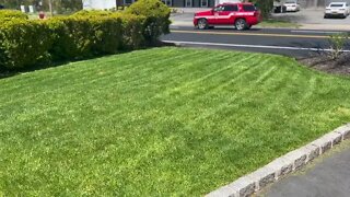 Long Island Lawncare VLOG15: SHORT N SWEET YARD PREP FOR 2022 Season #lawn #grass #home
