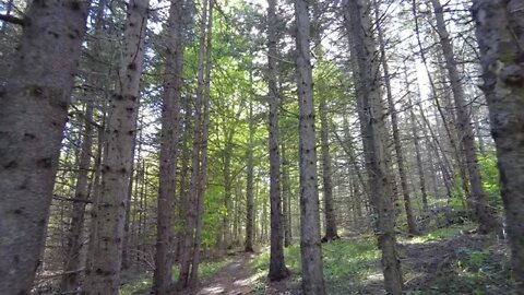 Hiking the Trails at Bonshaw Hills PEI