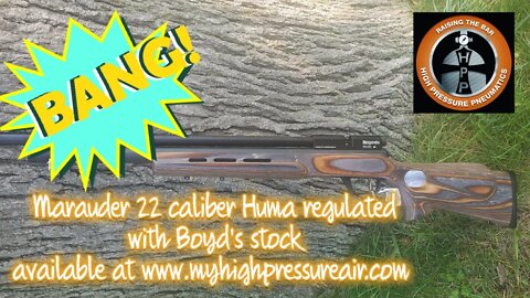 Benjamin Marauder 22 caliber Huma Regulated HPP Edition