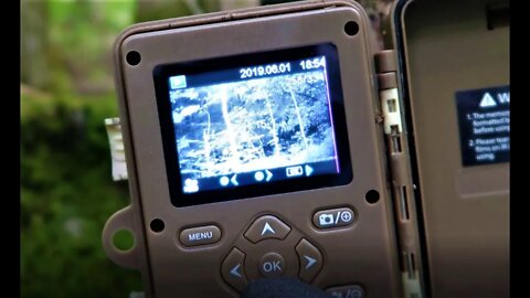 Trail Camera Check - Tresspassers and Big Bucks