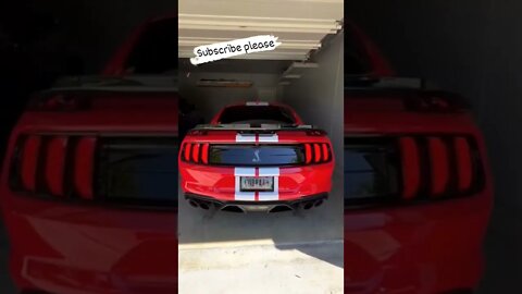 Cold start Mustang 🐎🐎 #onepercent_clubb #shorts #ytshorts #mustang