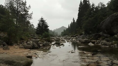 ⚪Música para Aliviar el Cansancio y la Fatiga Mental || Música Relajante para Alivio de Estrés⚪