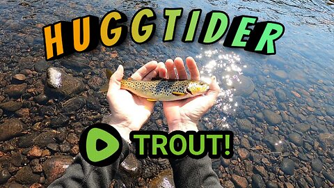Swedish trout fishing with the "Mine sweeping technique" w/ English subtitles