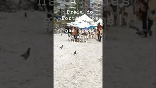 Praia do Forte, RJ [ Mineiros encaram as águas geladas!!!#shorts #riodejaneiro