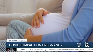 COVID's impact on pregnancy