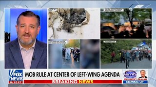 Sen Cruz Calls Out Marxist Dems Who Are Willing To Burn Our Institutions To The Ground