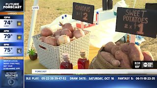 Hispanic Heritage Farmers Market