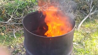 Burn Green Brush in a Burn Barrel
