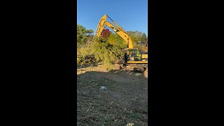 Tree removal heavy machinery￼
