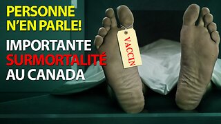 IMPORTANTE SURMORTALITÉ TOUTES CAUSES AU CANADA - PERSONNE N'EN PARLE!