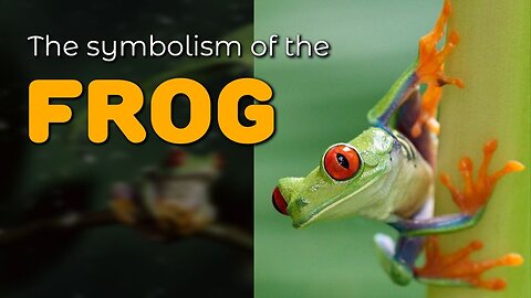 The symbolism of the Frog