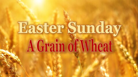 Easter Sunday - A Grain of Wheat - John 3:16 C.M. Sunday Morning Service LIVE Stream 3/31/2024