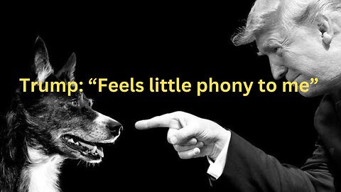 President Trump saying Having a pet dog feels little phony to me.