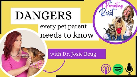 Dangers Every Pet Parent Needs To Know ft Dr Josie Beug