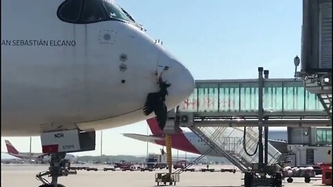 That's one BIG BIRD! Airbus A350-900 Bird Strike