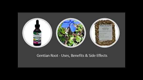 Gentian - Herbal Medicine - Benefits, Uses & Side Effects