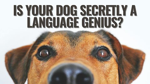 Is Your Dog Secretly a Language Genius?