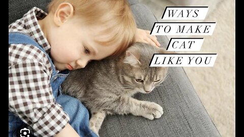 Ways To Make Cat Like You