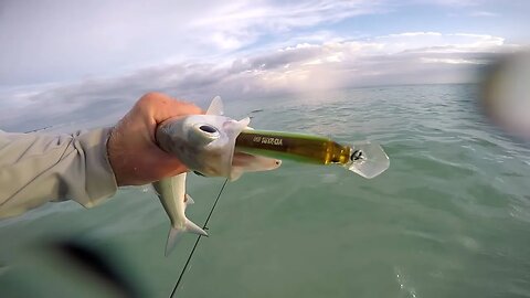 Salt Water Surf Fishing with Bass Baits!