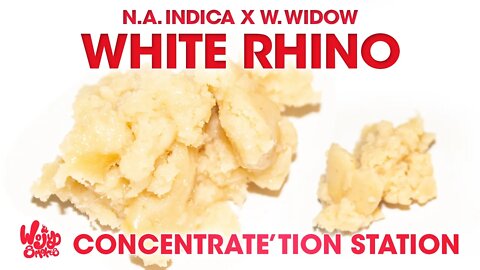 White Rhino Extract Review