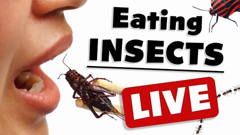 THE ELITES LITERALLY WANT US EATING BUGS !!!