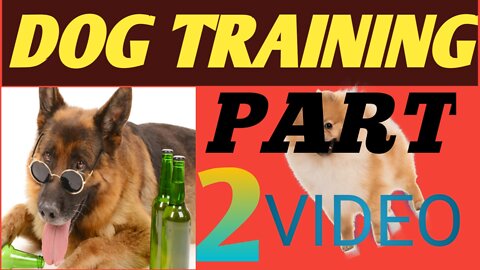 Puppy training part -2 puppy first outside Wolk dog training ka part 2 aa gaya
