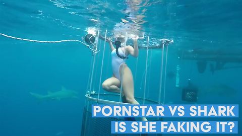 Here's why the cam girl shark attack video is fishy