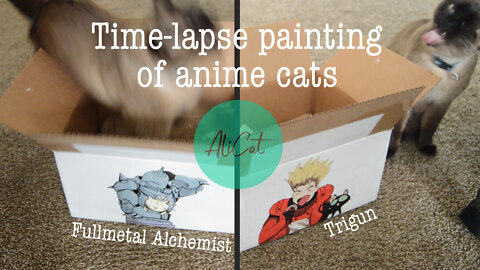 I painted anime cats on a box for my cat