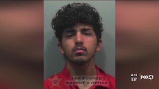 Naked man arrested for battery on a deputy