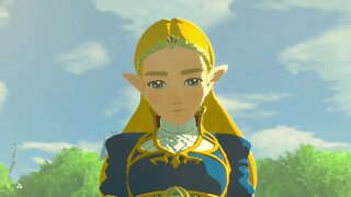 Breath of the Wild Master Mode 80