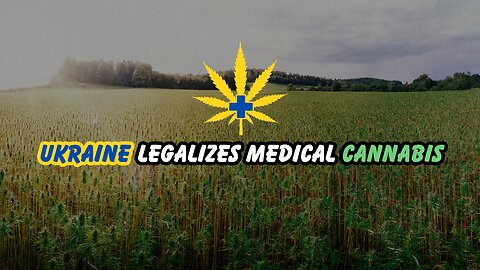 President Zelensky Signs Bill Legalizing Medical Cannabis In Ukraine