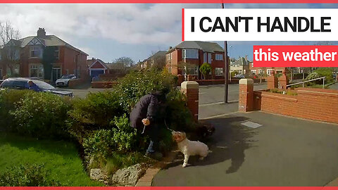 Hilarious moment dog walker lands in bushes after yanking the handle off his front door