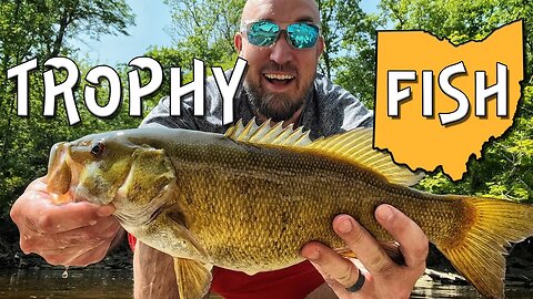 Finding TROPHY fish in tiny creeks!
