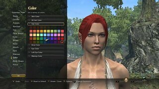 Dragons Dogma Online Test