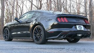 Pure Sound: 2016 Ford Mustang GT w/ Kooks Headers & Borla Exhaust - Start Up, Revs, Acceleration