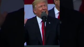 Donald Trump - Momentum