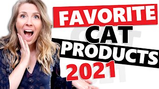 My FAVORITE Cat Products 2021