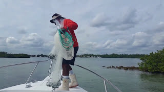 Fishing Kingfish and Sailfish Miami Beach