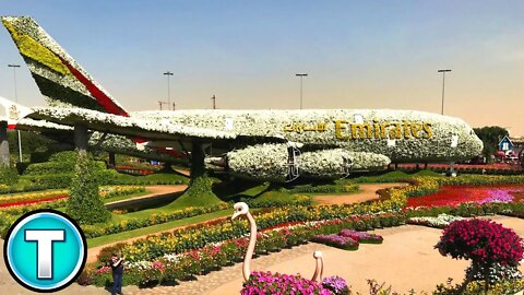 Dubai's Miracle Garden - World's Largest Flower Garden