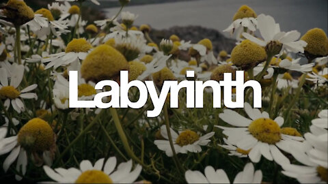 Labyrinth Time
