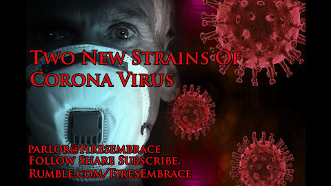 2 New Conrona Virus Strains. Persistent Hacks On Our Government.