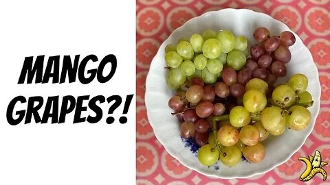 Mango Grapes?!
