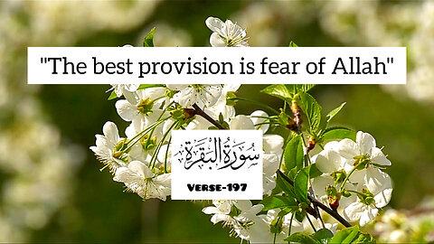 Surah Al Baqarah,verse-197💕
