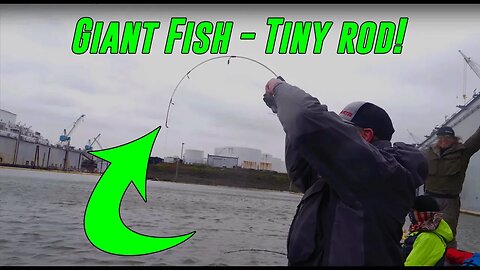GIANT Fish On TINY Little Fishing Rod! | Addicted Life Ep. #20