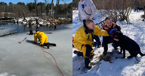 Massachusetts Firefighters Rescue Black Lab that Fell Through Ice