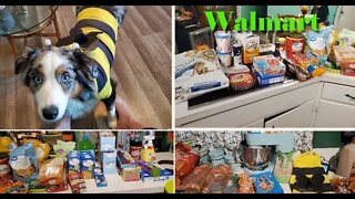 Walmart Haul / Aldi Haul | Family of 5 | Halloween Costume