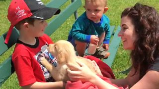 Toddler So Surprised By New Puppy He Falls Off Bench