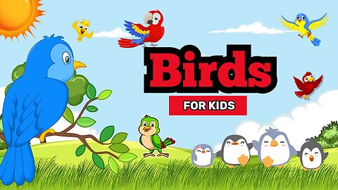 Birds Vocabulary l Birds Name In English l Kids English Educational Video | Bright Spark Station