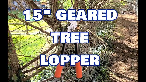 KLDOLLAR 15 Inch Tree Trimmer, lopper